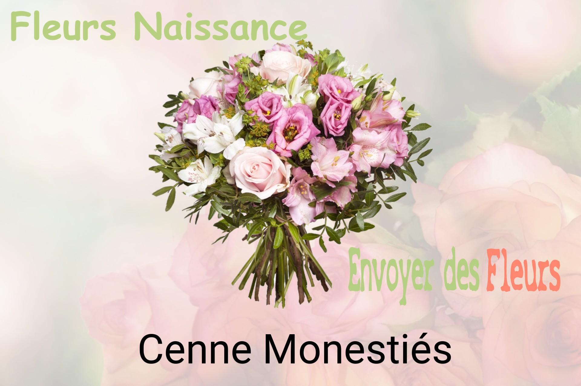 Bouquet de fleurs de naissance livré à Cenne-Monestiés